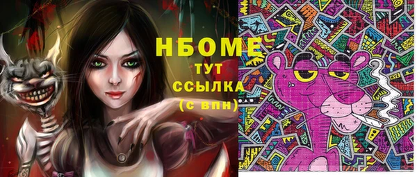 ГАЛЛЮЦИНОГЕННЫЕ ГРИБЫ Верея
