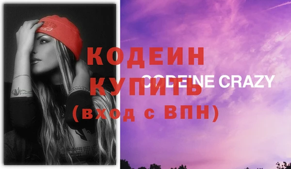 ГАЛЛЮЦИНОГЕННЫЕ ГРИБЫ Верея