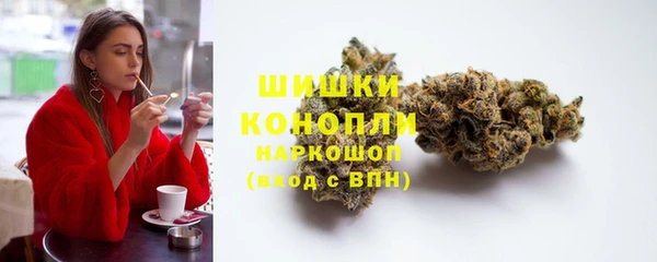 ГАЛЛЮЦИНОГЕННЫЕ ГРИБЫ Верея