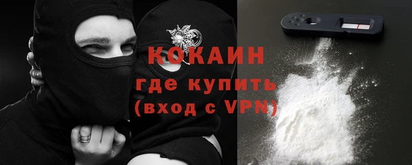 ГАЛЛЮЦИНОГЕННЫЕ ГРИБЫ Верея