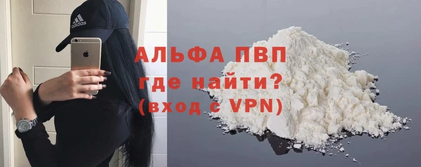 ГАЛЛЮЦИНОГЕННЫЕ ГРИБЫ Верея