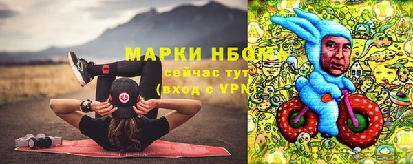 ГАЛЛЮЦИНОГЕННЫЕ ГРИБЫ Верея