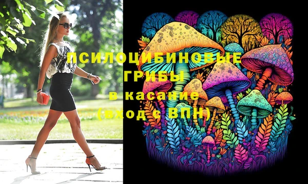 apvp Верхний Тагил