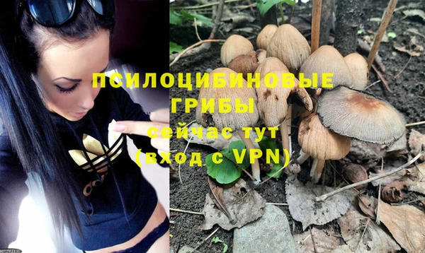 ГАЛЛЮЦИНОГЕННЫЕ ГРИБЫ Верея