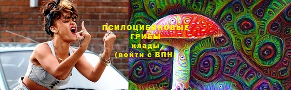 винт Бородино