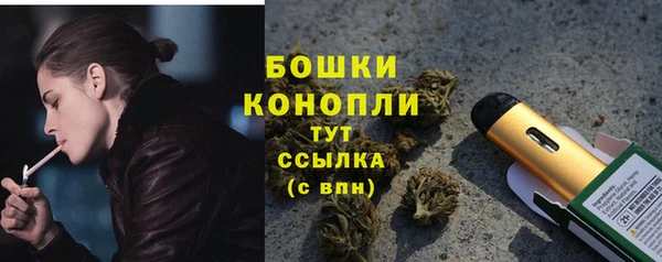 ГАЛЛЮЦИНОГЕННЫЕ ГРИБЫ Верея