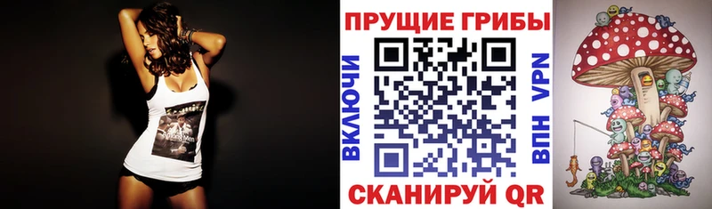 купить наркоту  Каргат  мега ССЫЛКА  Галлюциногенные грибы ЛСД 
