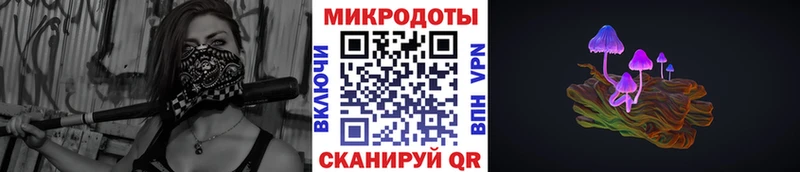 Галлюциногенные грибы Cubensis Каргат
