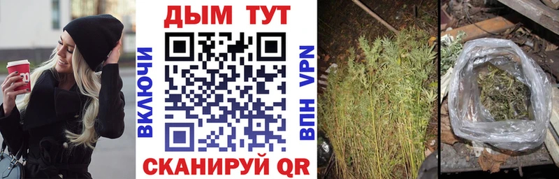 Каннабис OG Kush  mega рабочий сайт  Каргат 
